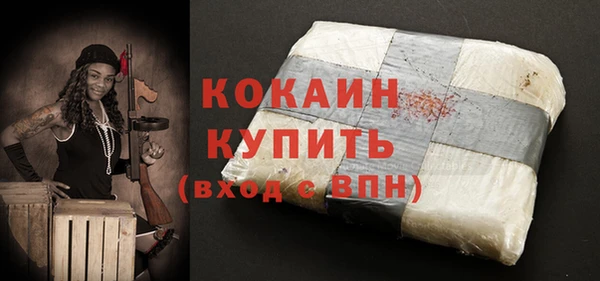 мдпв Кодинск