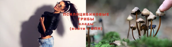 молекула духа Киренск