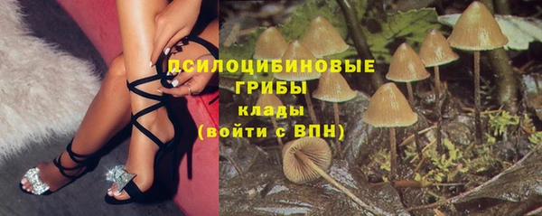стафф Киреевск