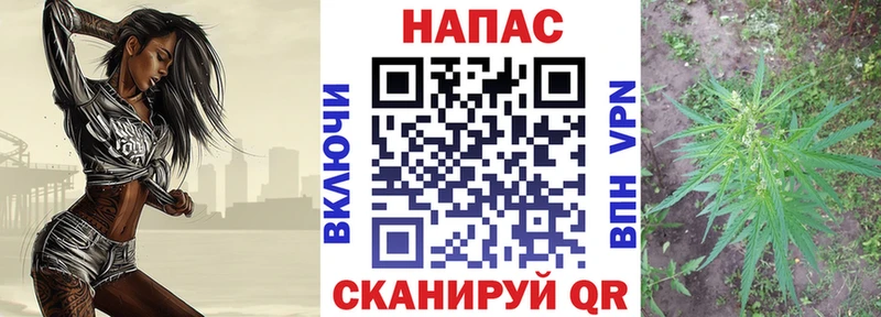 Купить где  Байкальск  Конопля план 